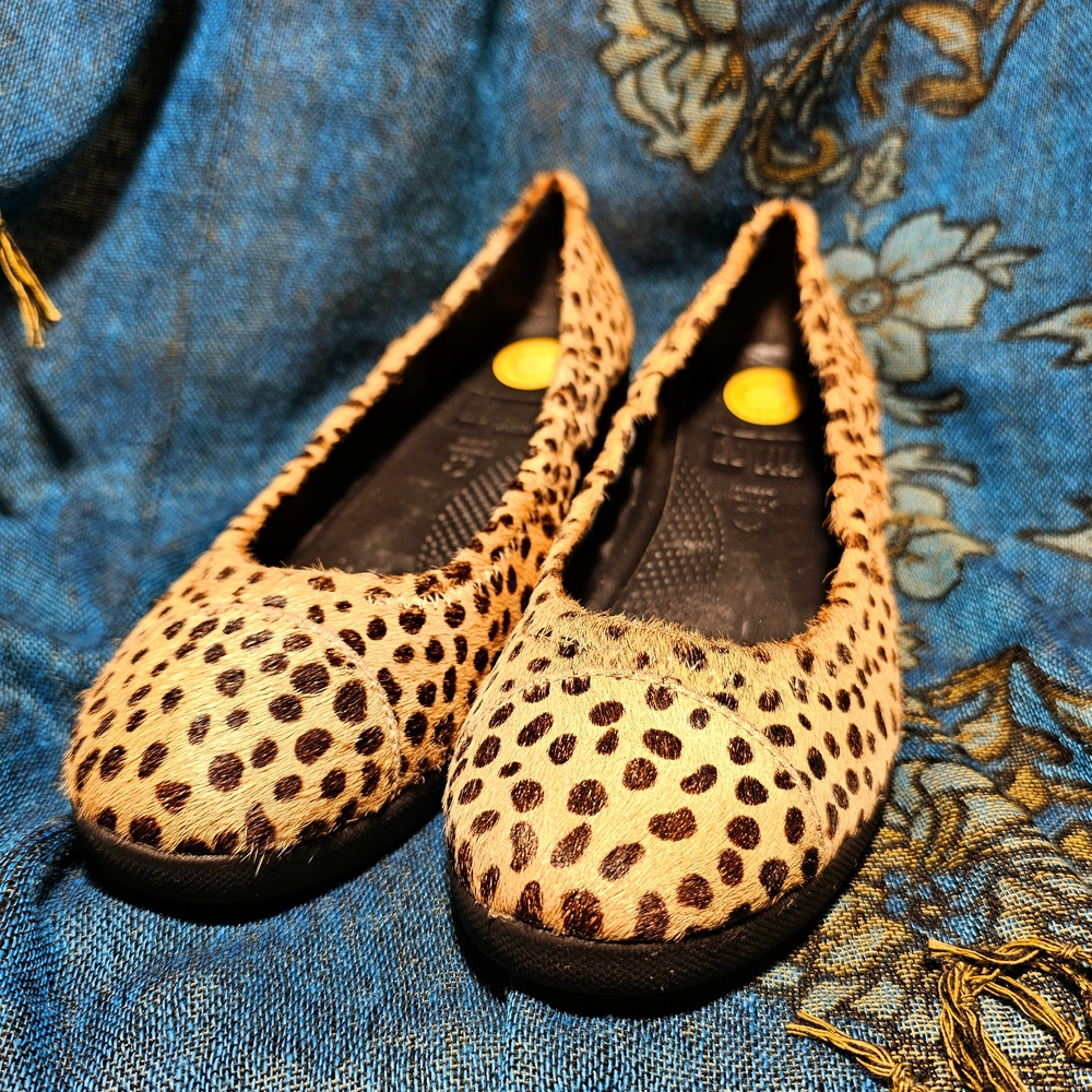 Fitflop Brown and Black Flats
